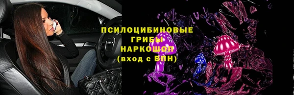 ГАЛЛЮЦИНОГЕННЫЕ ГРИБЫ Дубовка
