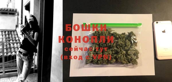 трава Дубна