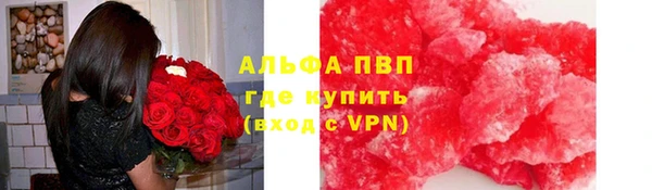 индика Осинники