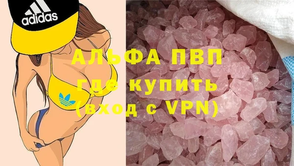 твердый Новозыбков