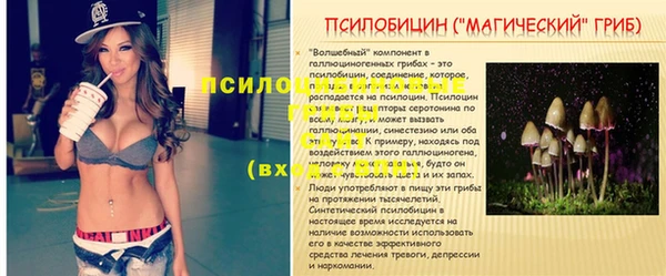 мдпв Няндома