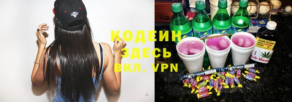 индика Осинники