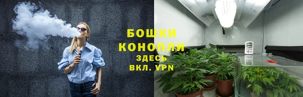 индика Осинники